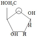 Công thức ở bên là cấu tạo của:    A.  α α Fructofuranose. B.  β β Ribofuranose. C.  β β Deoxyribopyranose. D.  β β Deoxyribofuranose. (ảnh 1)