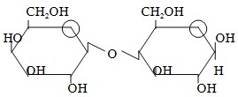 Công thức bên là cấu tạo của:    A. Saccarose. B. Lactose. C. Maltose. D. Galactose. (ảnh 1)
