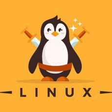 350 Câu hỏi trắc nghiệm Hệ điều hành Linux