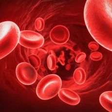 1000+ câu Trắc nghiệm Huyết học - Truyền máu